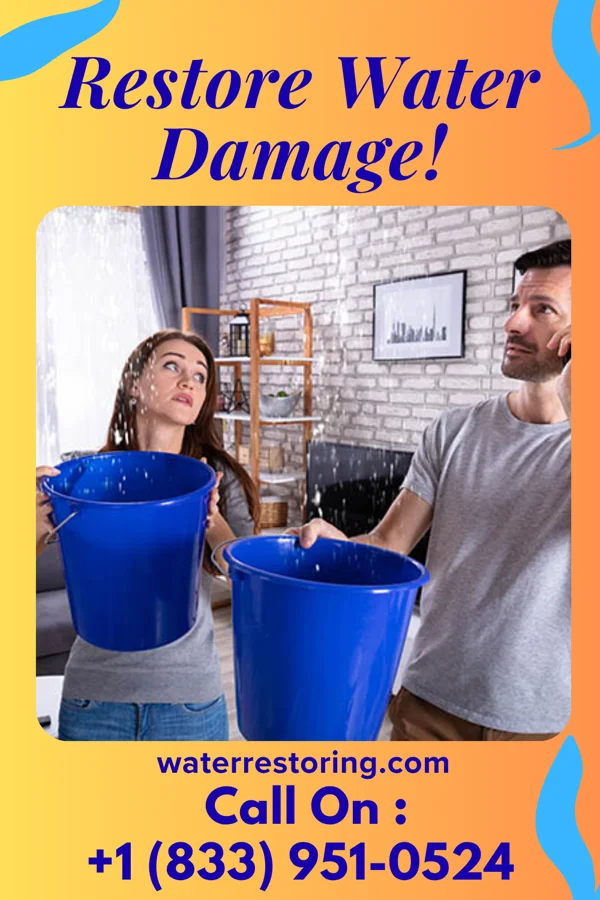 water restoration Universal Disaster Recovery & Associates Dortches