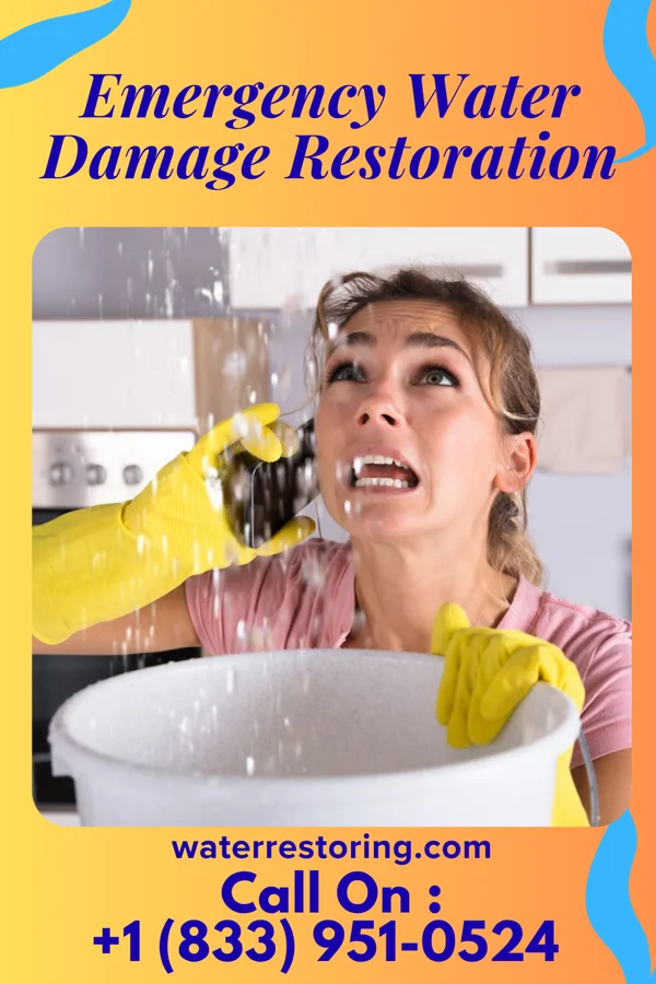 Emergency Water Damage Restoration in Dortches, NC