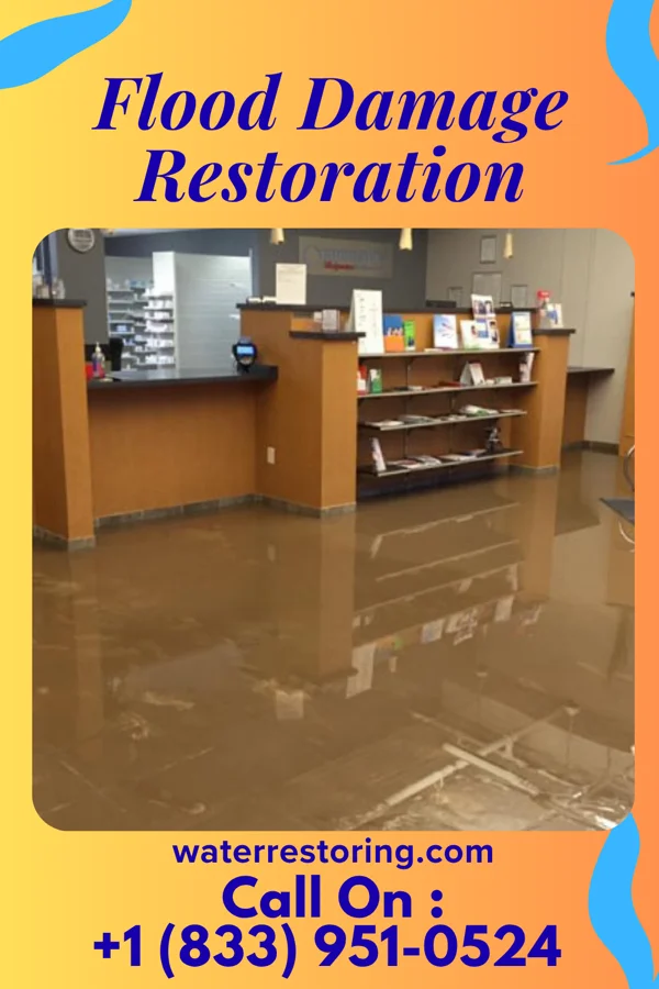 Flood Damage Restoration in Dortches, NC