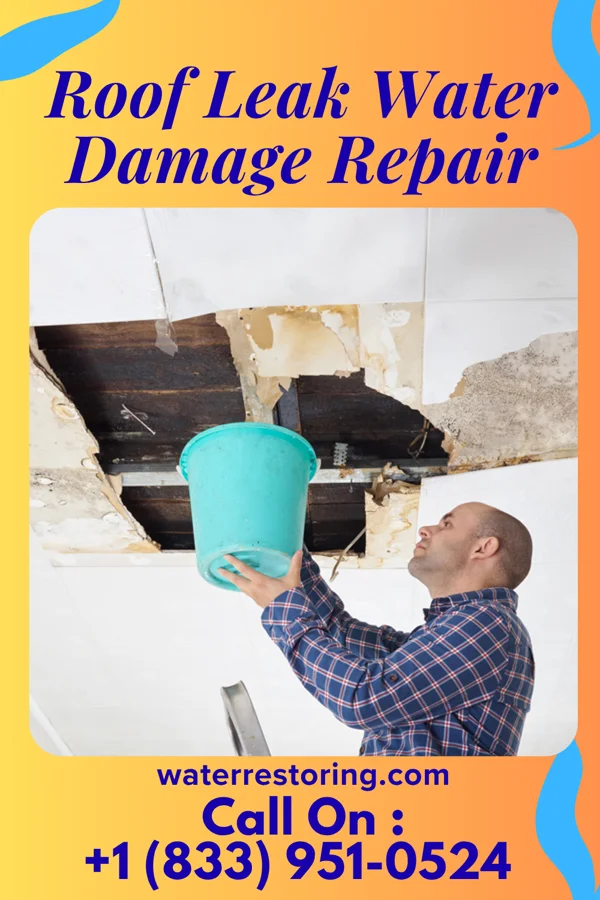 Roof Leak Water Damage Repair in Dortches, NC